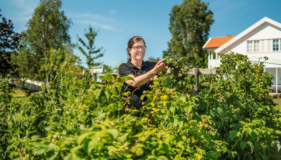 Finalist Astrid Lier Lømuld, daglig leder i Askim frukt- og bærpresseri. (Foto: Michael Johnsen)