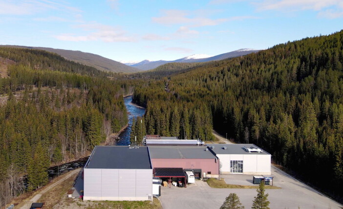 Imsdal-fabrikken like vest for riksvei 3 i østerdalen. (Foto: Imsdal/Ringnes) Imsdal-fabrikken like vest for riksvei 3 i østerdalen. (Foto: Imsdal/Ringnes)