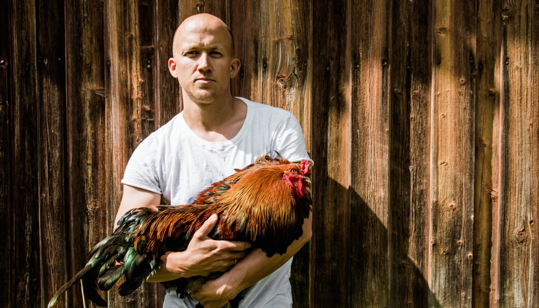 – Mat*Larm er en fantastisk mulighet til å kombinere matprodusenter og kokker, sier Kristoffer Evang fra Ask Gård. (Foto: Anthony Huus) – Mat*Larm er en fantastisk mulighet til å kombinere matprodusenter og kokker, sier Kristoffer Evang fra Ask Gård. (Foto: Anthony Huus)