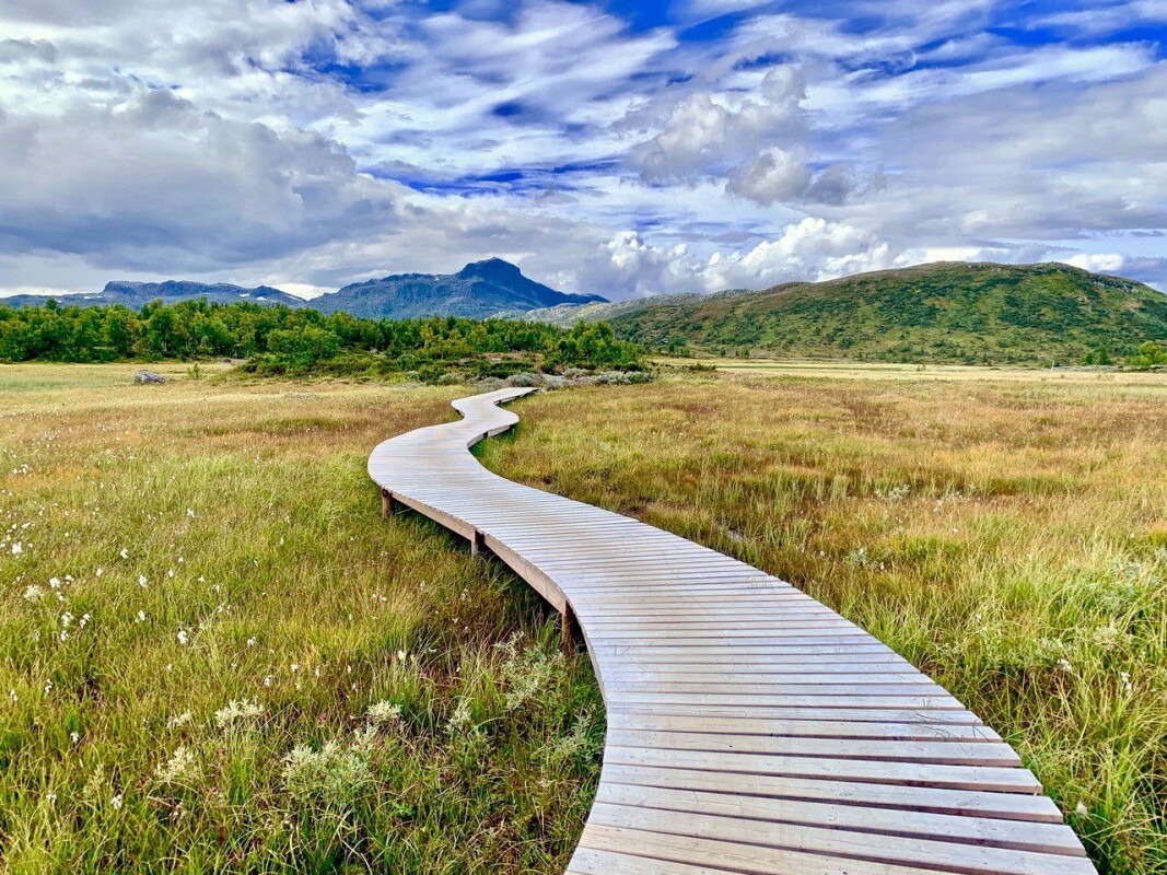 Fra de nye sykkelløypene på Beitostølen med Bitihorn i bakgrunnen. (Foto: DestinasjonsKirurgene Fra de nye sykkelløypene på Beitostølen med Bitihorn i bakgrunnen. (Foto: DestinasjonsKirurgene