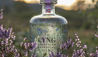Lanserer norsk gin med 33 urter, krydder og blomster