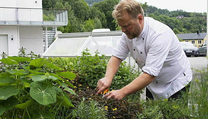 Tidligere vinner av Matomsorgsprisen, Bjørn Erik Vangen, er kjøkkensjef på Leksvik Helsetun i Trøndelag. (Foto: Matriketmidt.n0) Tidligere vinner av Matomsorgsprisen, Bjørn Erik Vangen, er kjøkkensjef på Leksvik Helsetun i Trøndelag. (Foto: Matriketmidt.n0)