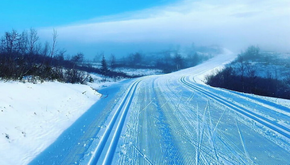 Klare skiløyper på Skeikampen denne uka. (Foto: Instagram, Bergseng Seter, Skeikampen)