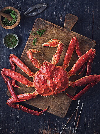 Norsk rød kongekrabbe. (Foto: Norges Sjømatråd) Norsk rød kongekrabbe. (Foto: Norges Sjømatråd)