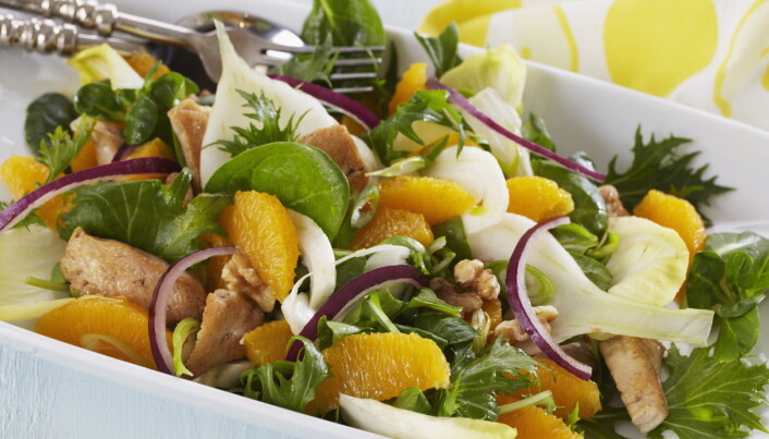 Kyllingsalat med appelsin er mettende og friskt til lunsj. (Foto: OFG)Click to add image caption Kyllingsalat med appelsin er mettende og friskt til lunsj. (Foto: OFG)Click to add image caption