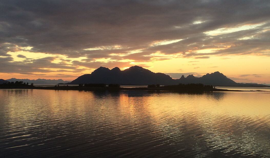 Illustrasjonsfoto: Morten Holt Illustrasjonsfoto: Morten Holt