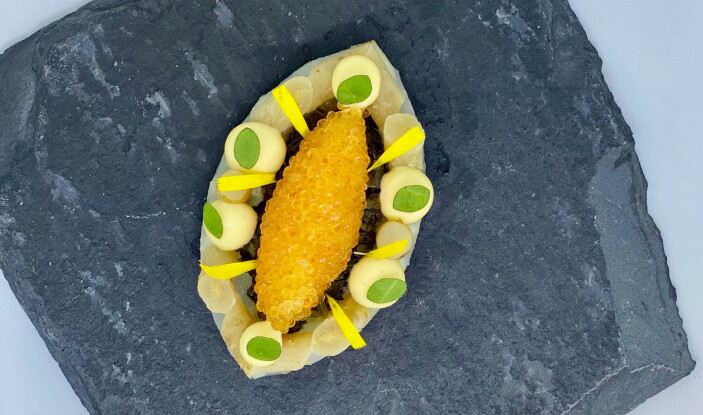 Fermentert løvetannrot og sikrogn Fermentert løvetannrot og sikrogn