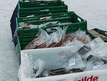 Foto: Jørgen Hofsrud Foto: Jørgen Hofsrud