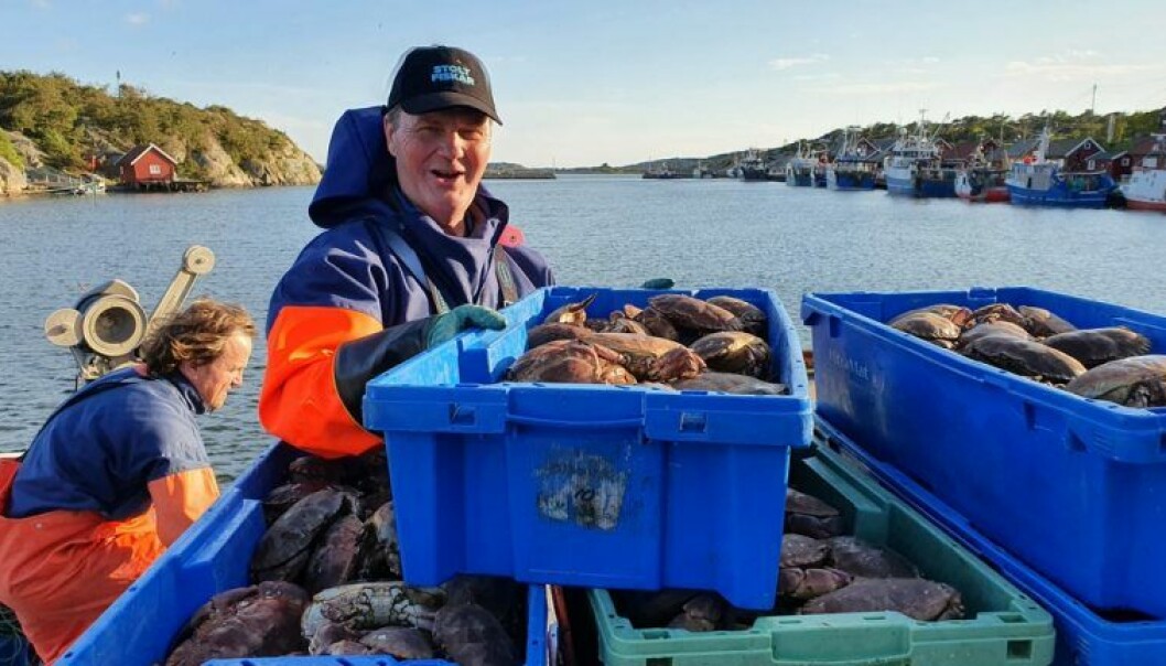 Knut Aage Gundersen er gründeren bak selskapet Hvaler-Krabbe, som leverer sjømat til flere anerkjente restauranter. (Foto: Hvaler-Krabbe)