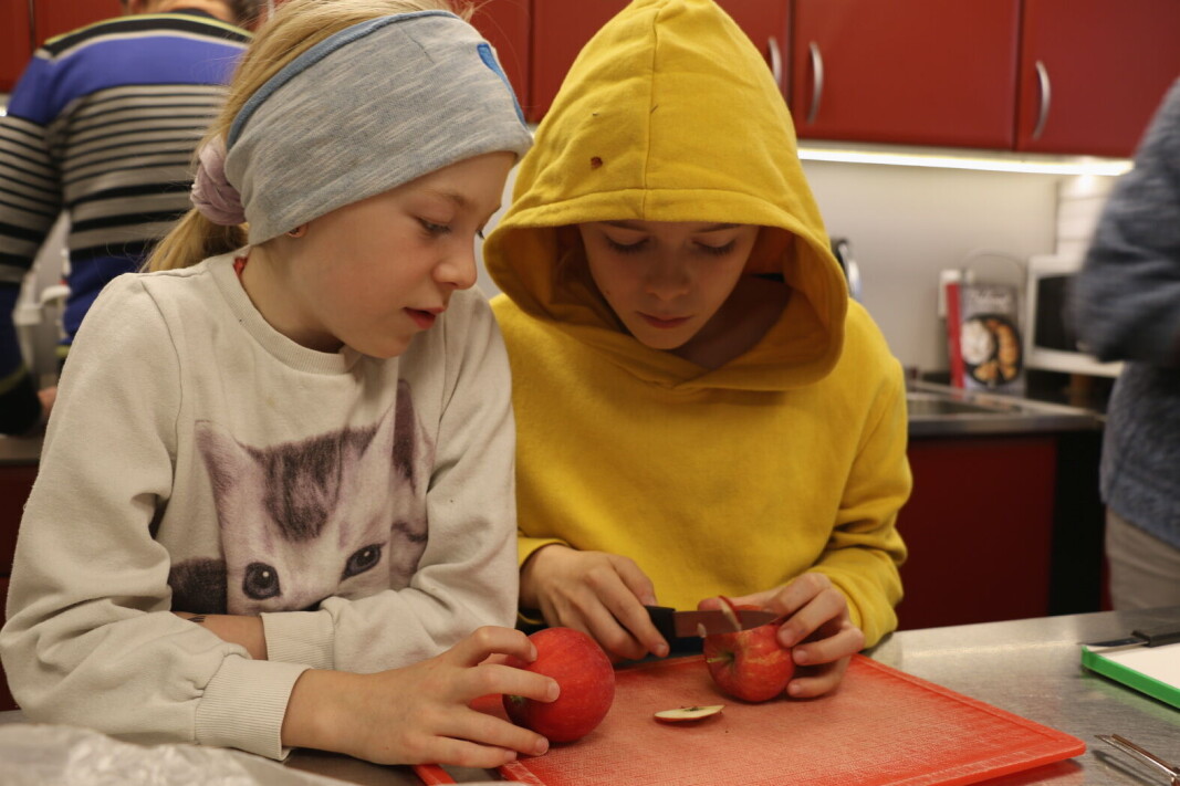 Norges Bygdekvinnelag har i flere år engasjert seg for innføring av et gratis skolemåltid. Her fra Tradisjonsmatskolen som Byneset Bygdekvinnelag står bak. Tvillingene Thea Marie og Sverre Alexander Risstad (10) er dypt konsentrert mens de kutter eplene med den skarpe kniven. (Foto: Toril Langmo Skjetne) Norges Bygdekvinnelag har i flere år engasjert seg for innføring av et gratis skolemåltid. Her fra Tradisjonsmatskolen som Byneset Bygdekvinnelag står bak. Tvillingene Thea Marie og Sverre Alexander Risstad (10) er dypt konsentrert mens de kutter eplene med den skarpe kniven. (Foto: Toril Langmo Skjetne)