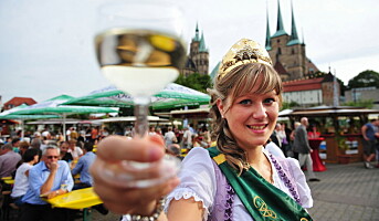 10 vinfester i Tyskland