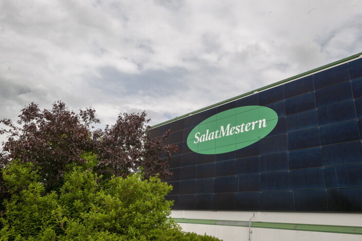 Solcelleanlegget hos SalatMestern i Fredrikstad. (Foto: Ove Tøpfer). Solcelleanlegget hos SalatMestern i Fredrikstad. (Foto: Ove Tøpfer).