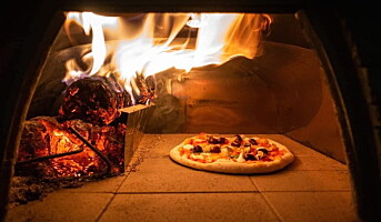 Stor vekst i salg av italienske pizzaovner