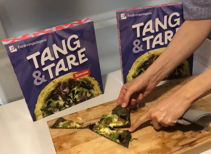 Tang og tare - rik på smak og næring. (Foto: Ting med Tang) Tang og tare - rik på smak og næring. (Foto: Ting med Tang)