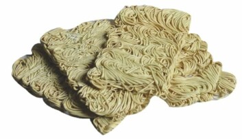 Autentiske asiatiske nudler som har mange bruksområder. Autentiske asiatiske nudler som har mange bruksområder.