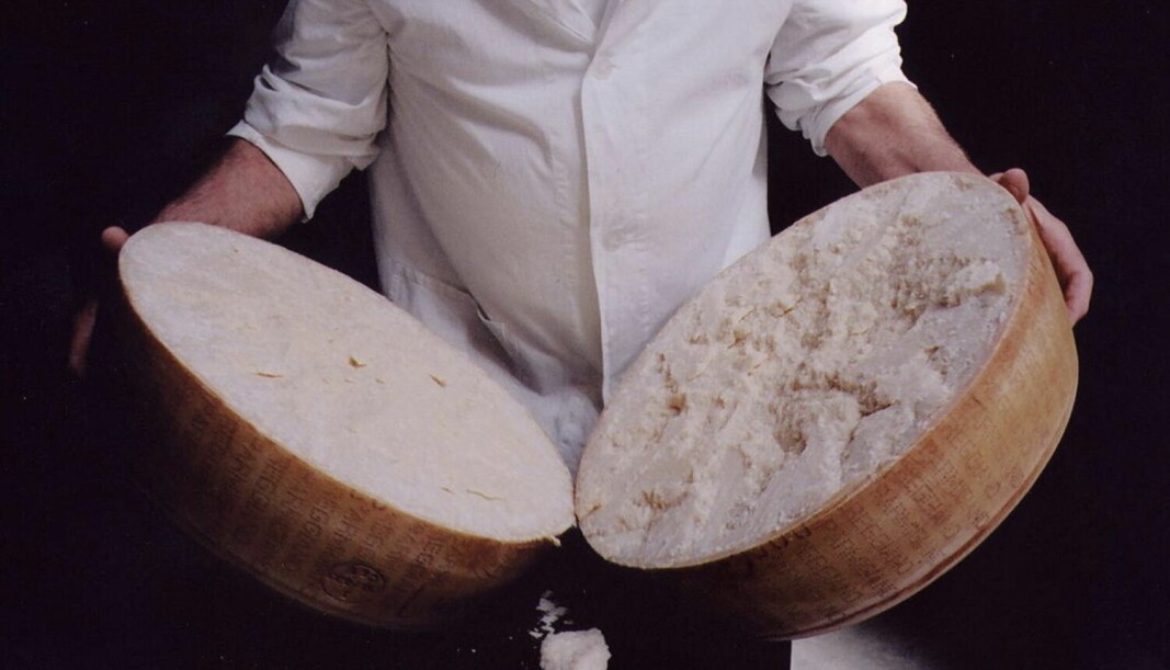 Illustrasjonsfoto: Parmigiano Reggiano
