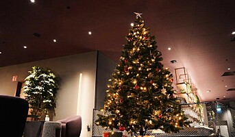 10 år med «Ensomt juletre» hos Nordic Choice Hotels