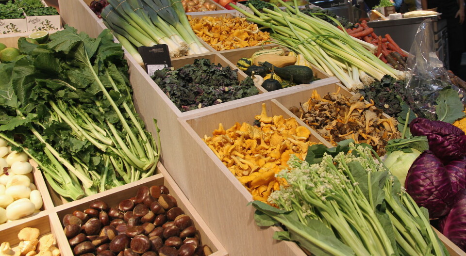 Illustrasjonsfoto: – Totalt sett ser vi en nedgang i volum fra 2021 til 2022 av både friske frukt- og grønnsaker på 3,4 % per innbygger, forteller analysesjef Tore Angelsen i OFG.