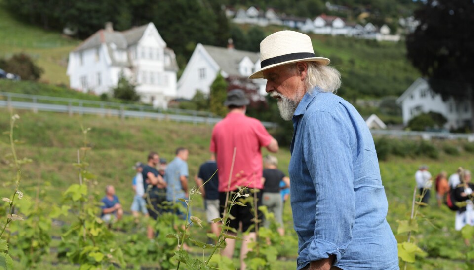 Bjørn Bergum er en av Norges mest erfarne vinmakere og vant for femte år på rad med hvitvinen «Meisen».