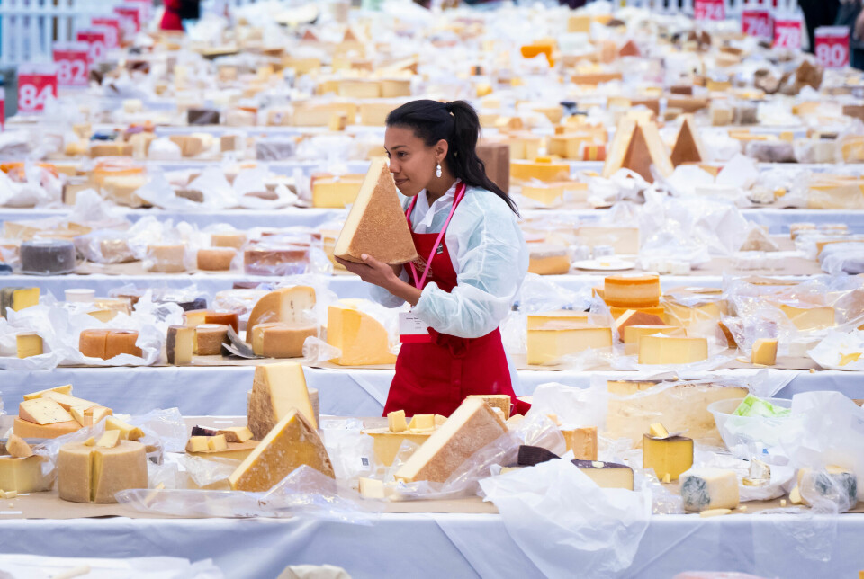 I slutten av oktober skal oste-VM (World Cheese Awards) arrangeres i Trondheim.