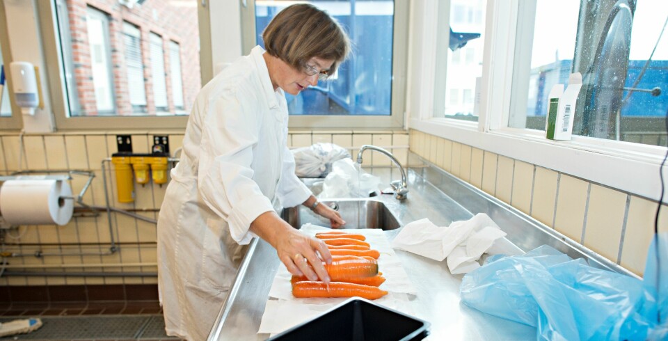 Dame/forsker i hvit frakk står ved en kjøkkenbenk og holder på med noen gulrøtter