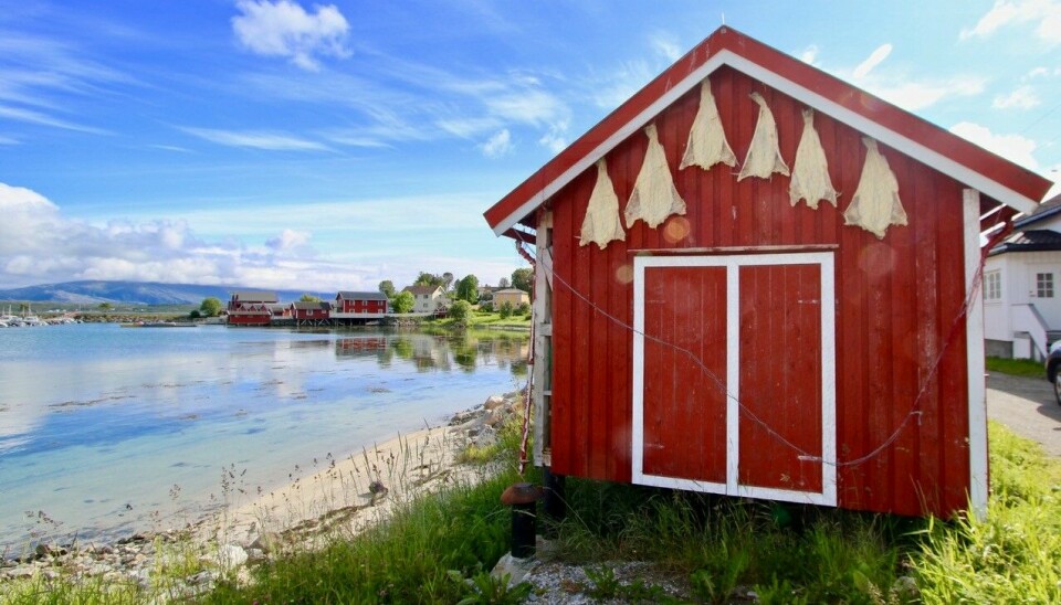 Helgelandskysten er et eventyr, og har potensial for å bli et etterspurt verdensprodukt, med sine storslåtte naturbaserte opplevelser, sier Bjørn B Jacobsen.