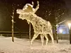 Norges største lyssatte elg finner du ved innkjøringen til Radisson Blu Beitostølen.